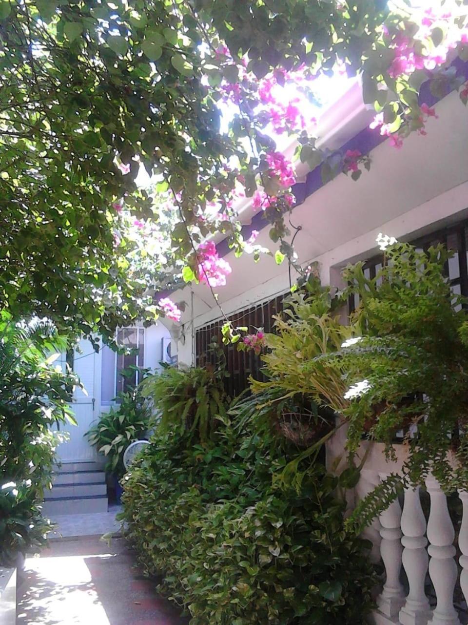 Vianova'S Place Posada Nativa San Andres  Exterior photo